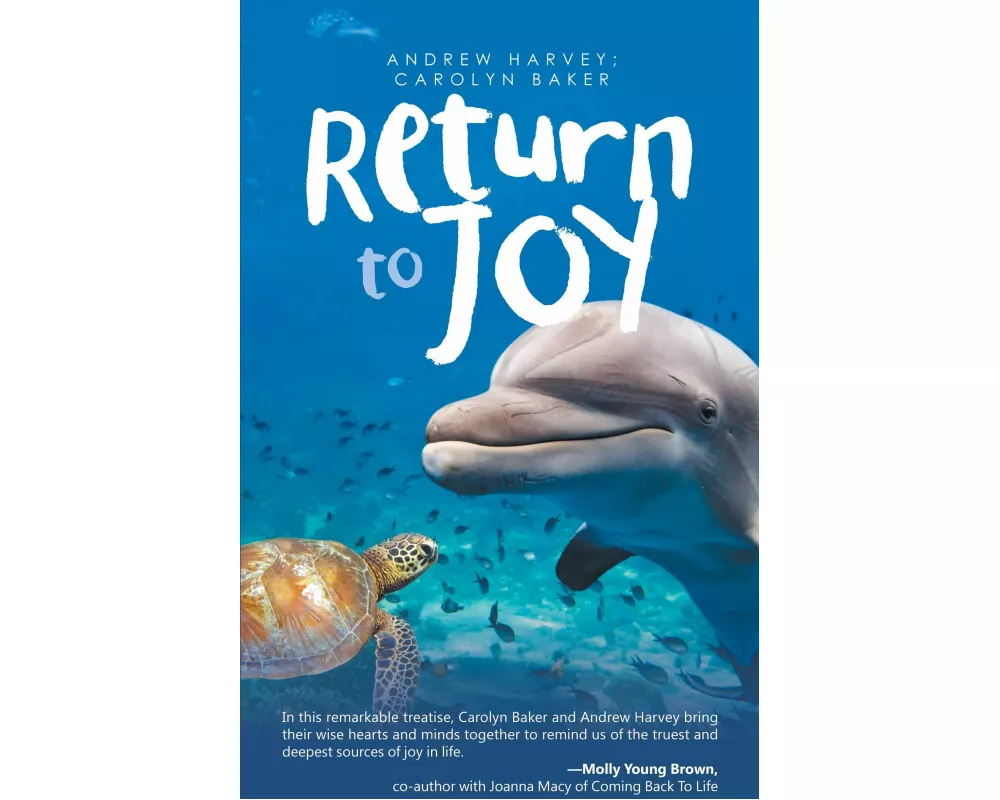 Return To Joy