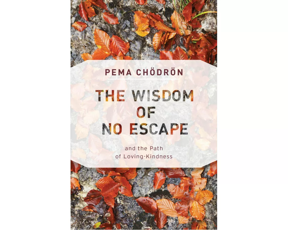 The Wisdom of No Escape