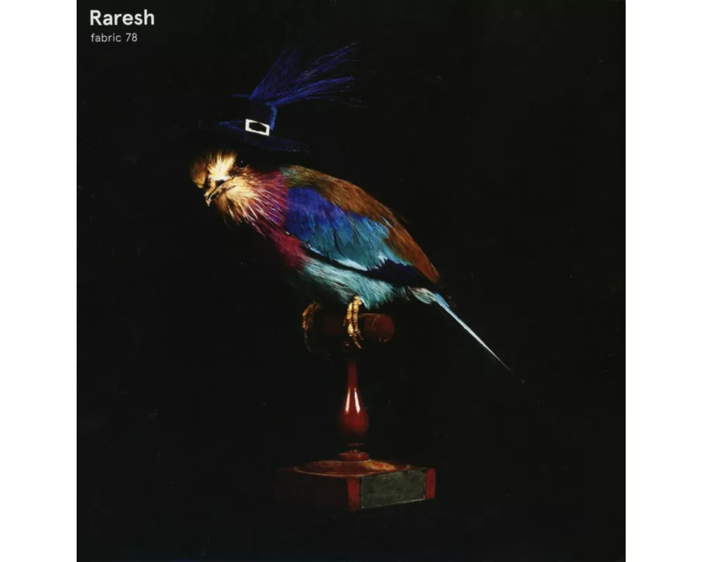 fabric 78: Raresh
