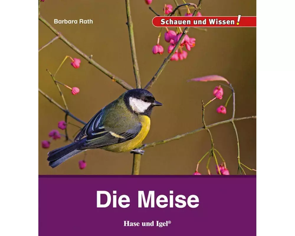 Die Meise