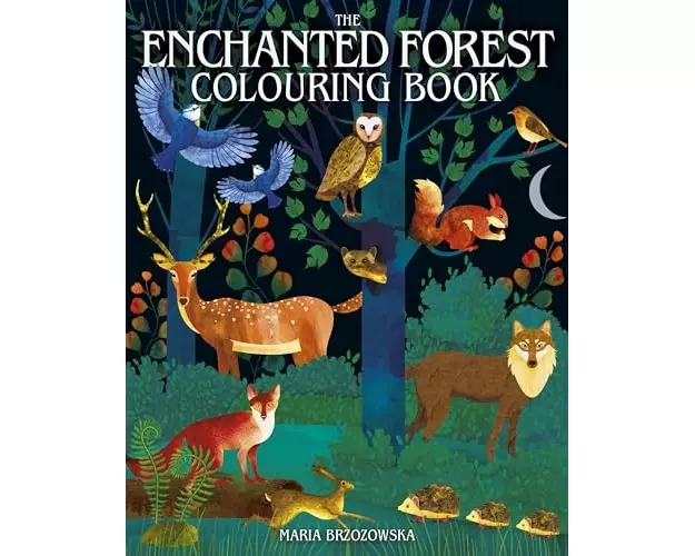 The Enchanted Forest Colouring Book