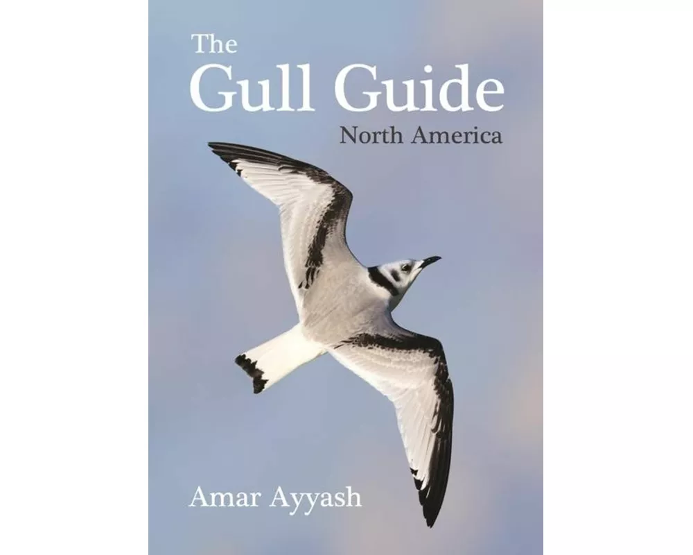 The Gull Guide