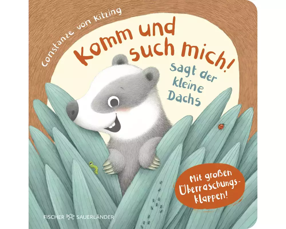 Komm und such mich! sagt der kleine Dachs