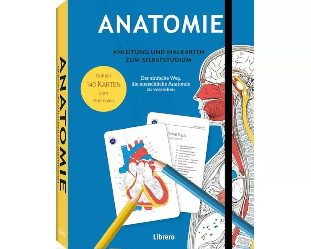 Anatomie - Anleitung und Malkarten zum Selbststudium