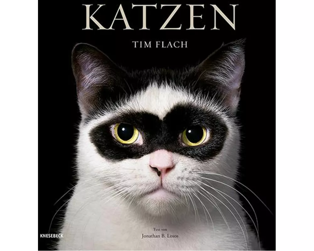 Katzen