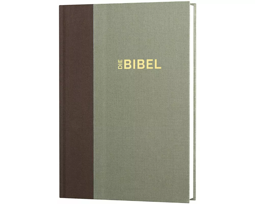 Schlachter 2000 Bibel - Standardausgabe (Duoleinen braun/khaki, fester Einband)
