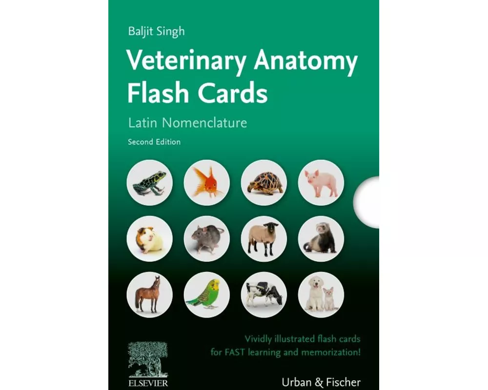 Lernkarten Veterinäranatomie / Veterinary Anatomy Flash Cards