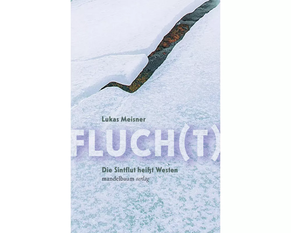Fluch(t)