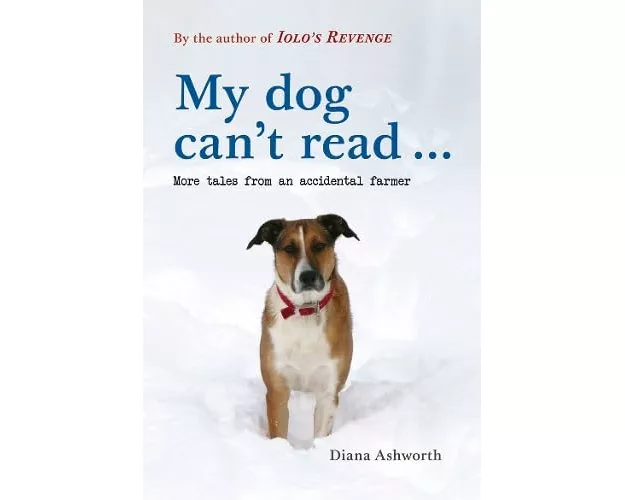My dog can't read ...