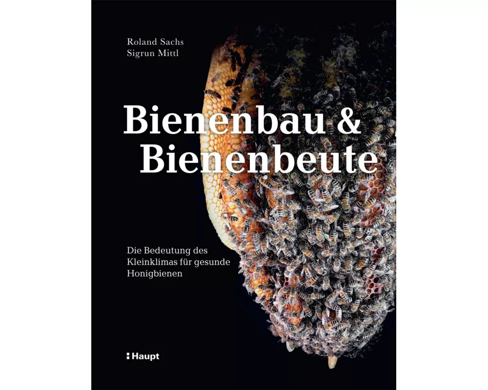 Bienenbau und Bienenbeute
