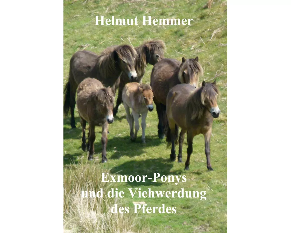Exmoor-Ponys und die Viehwerdung des Pferdes