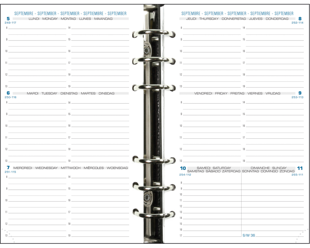 QUO-VADIS Exatime 17 Inhalt 25/26 18240E 1W/2S 16M ML 9x17cm