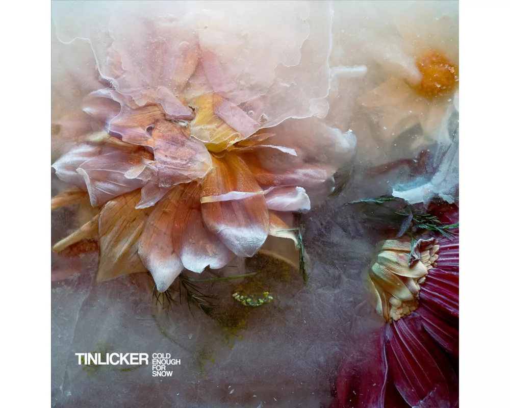 Cold Enough For Snow