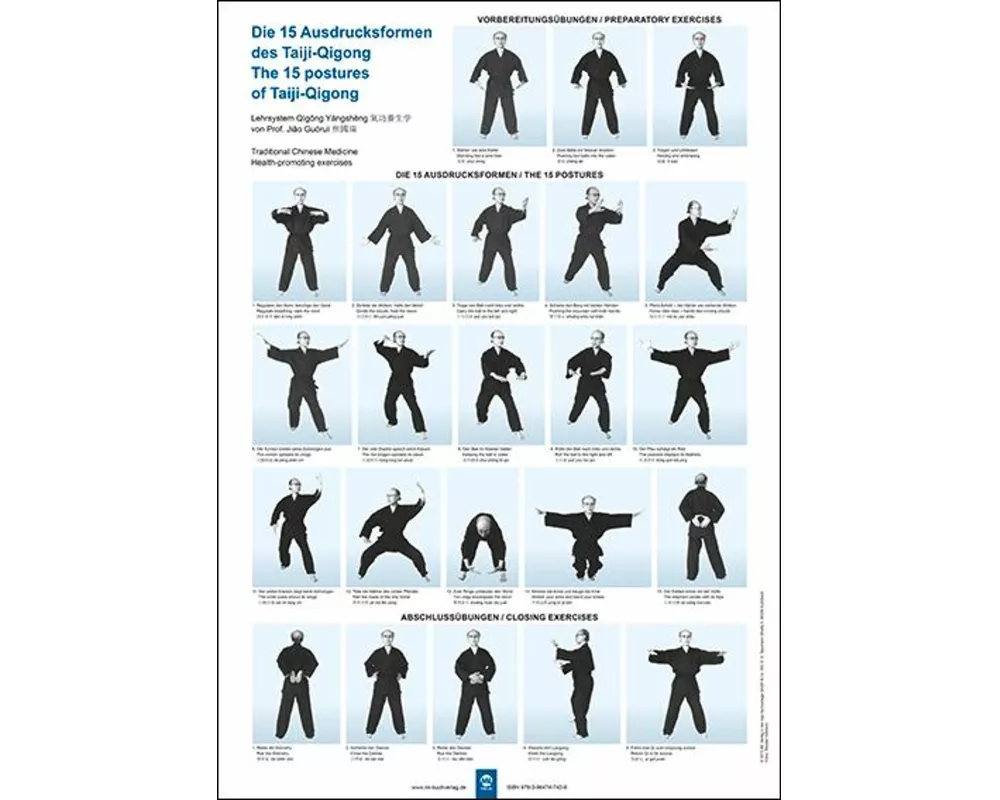 Die 15 Ausdrucksformen des Taiji Qigong Poster