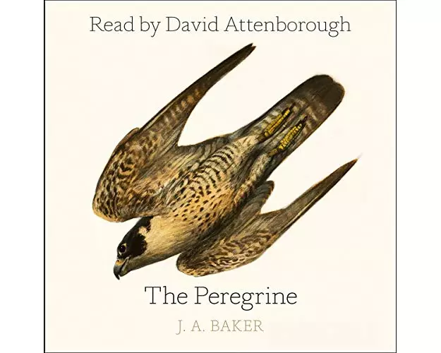 The Peregrine Lib/E