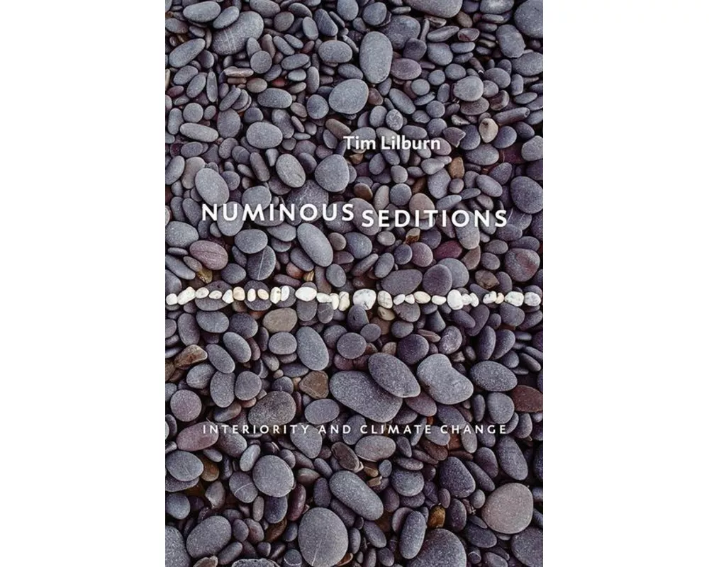 Numinous Seditions