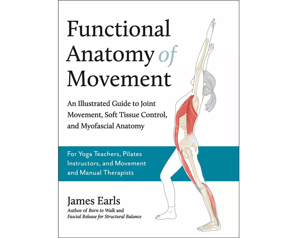 Functional Anatomy of Movement