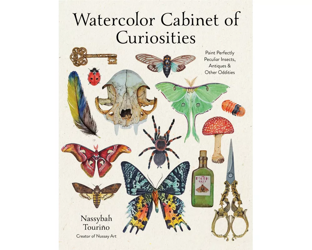 Watercolor Cabinet of Curiosities