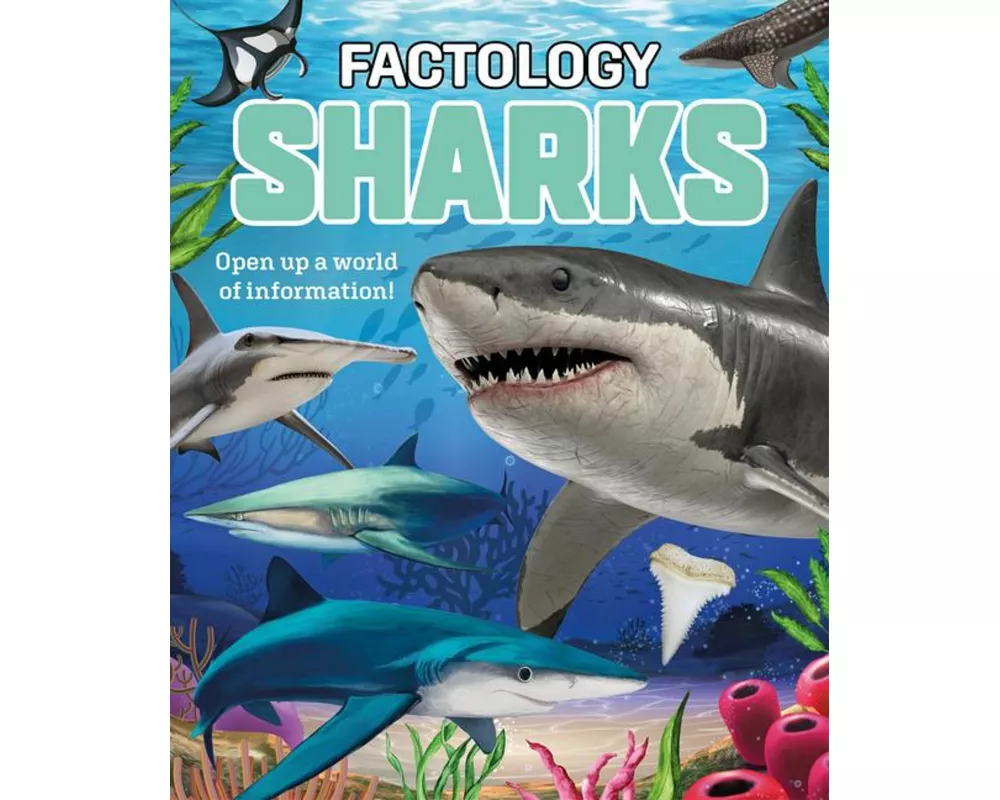 Factology: Sharks