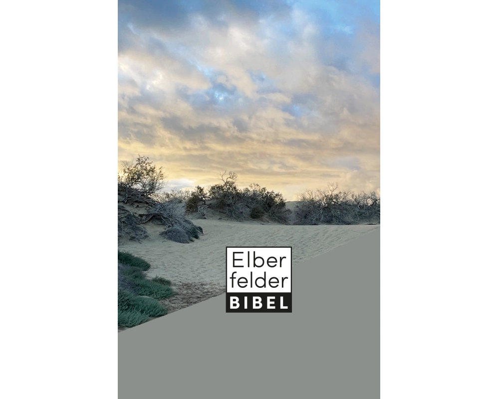 Elberfelder Bibel - Taschenausgabe, Motiv Dünen