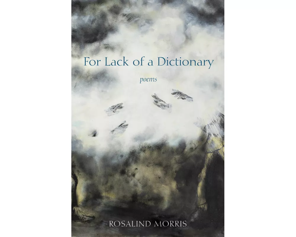 For Lack of a Dictionary