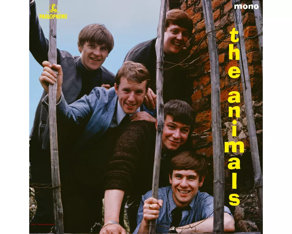 The Animals