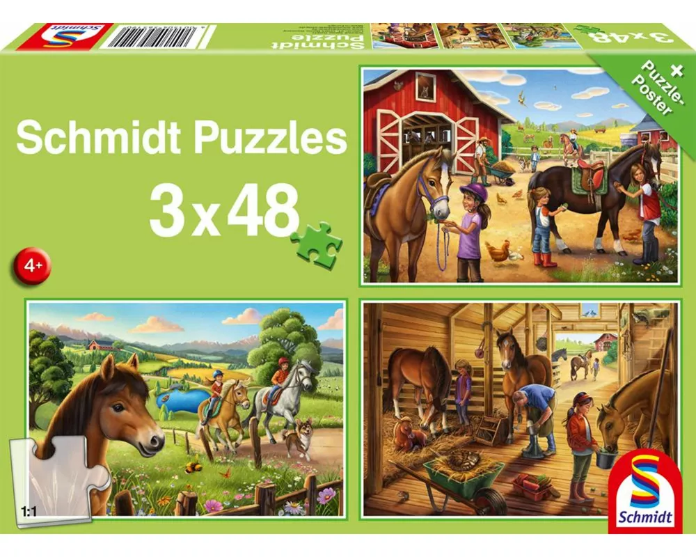 Meine Lieblingspferde