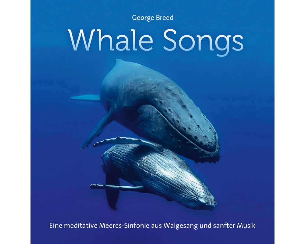 Whale Songs