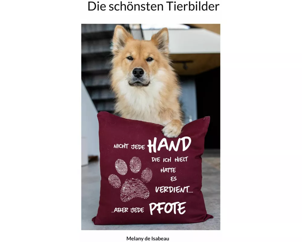 Die schönsten Tierbilder