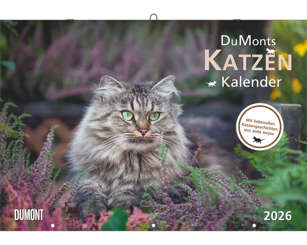 DUMONT Bildkalender 2026 260621 Katzen DE 42x29cm