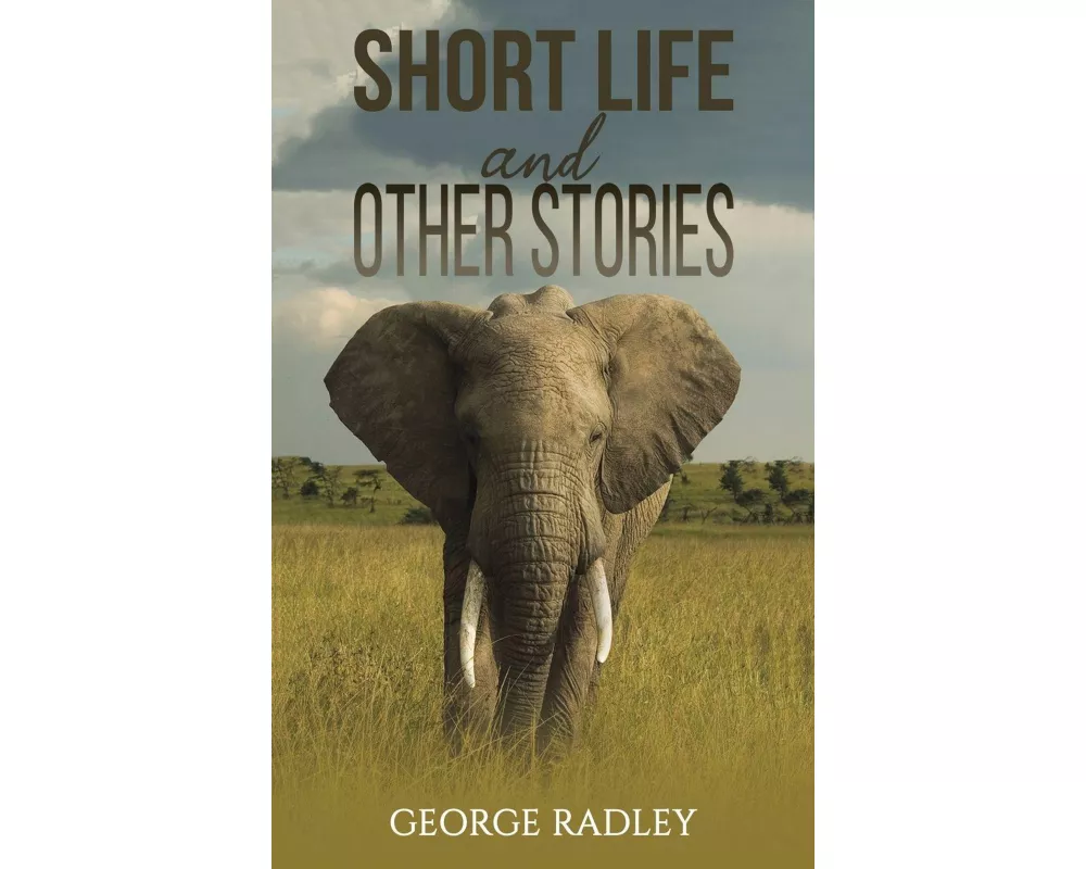 Short Life and Other Stories