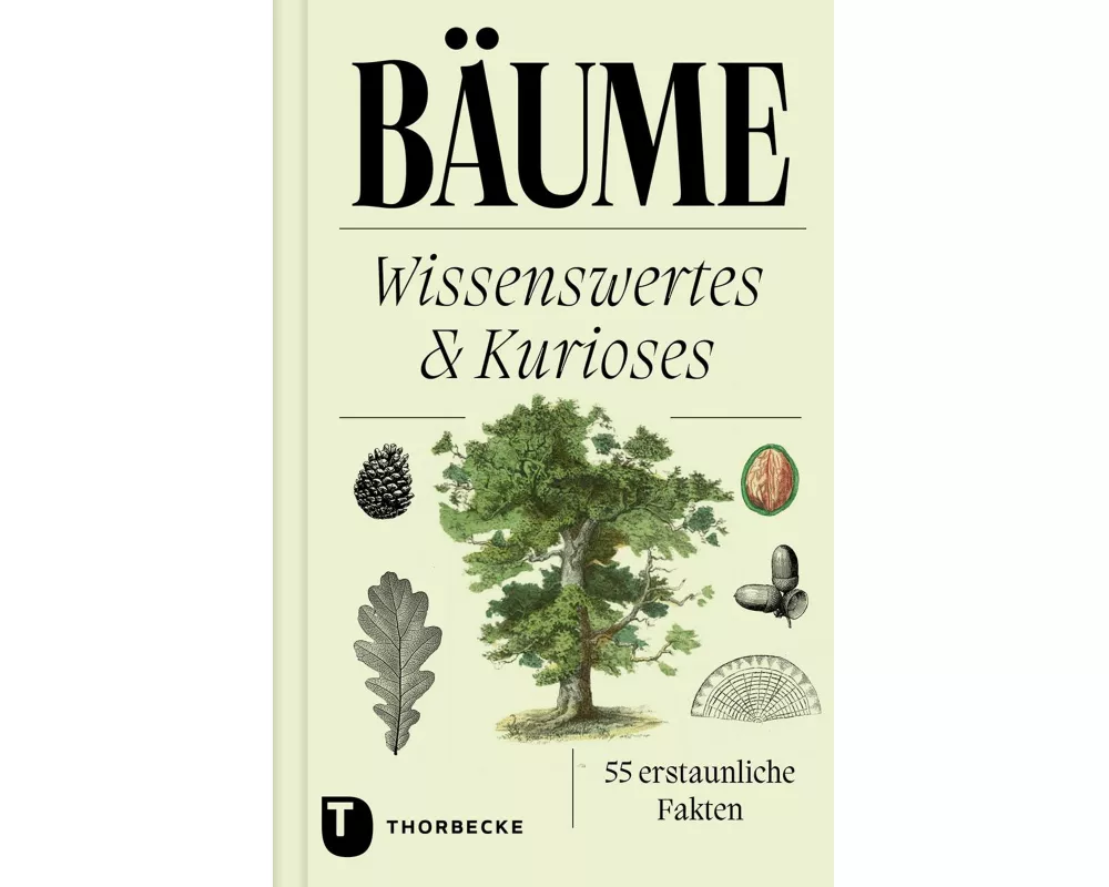 Bäume