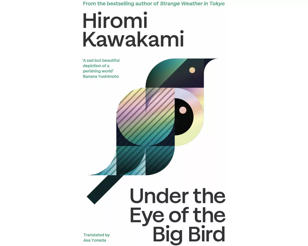 Under the Eye of the Big Bird