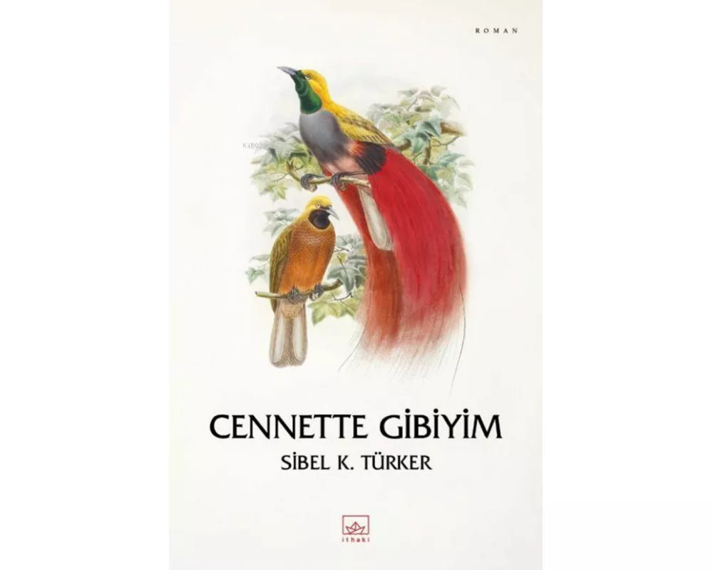 Cennette Gibiyim