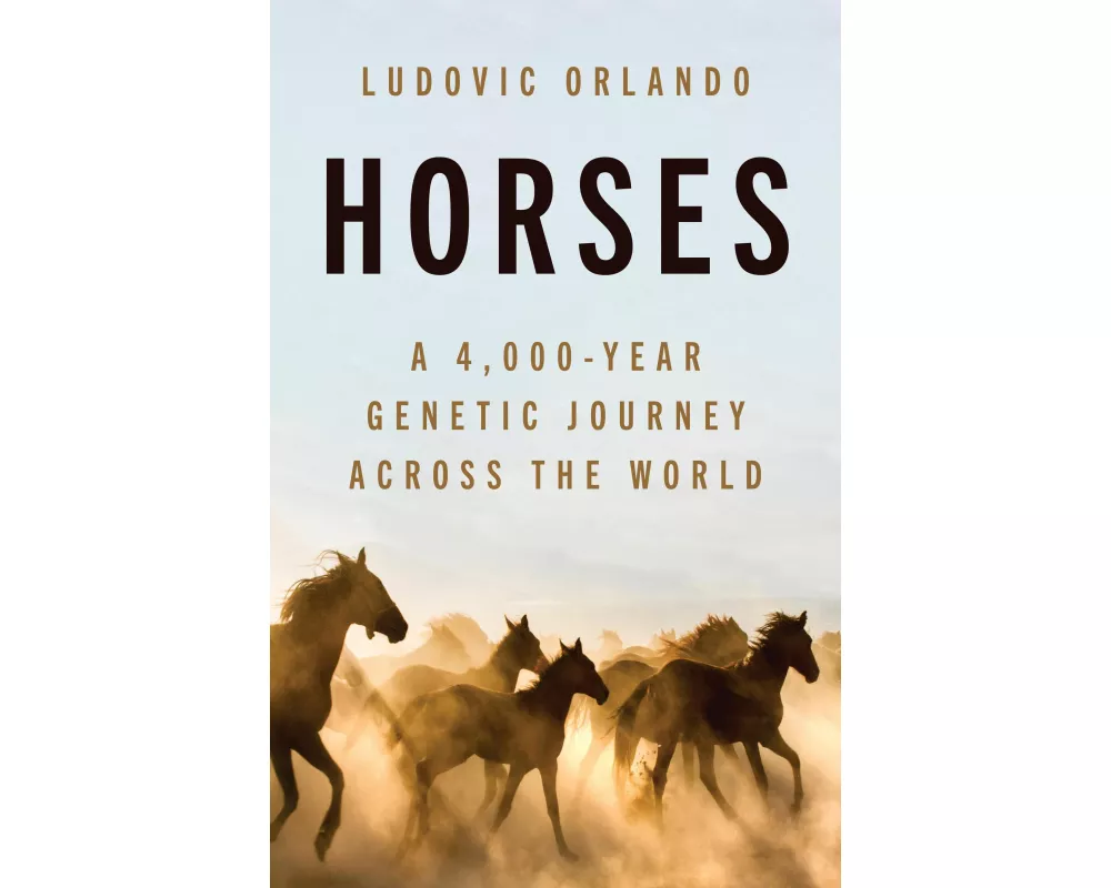 Horses
