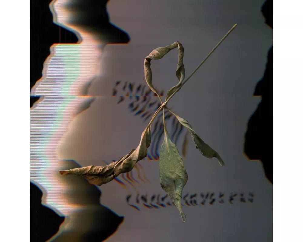 Trill Scan