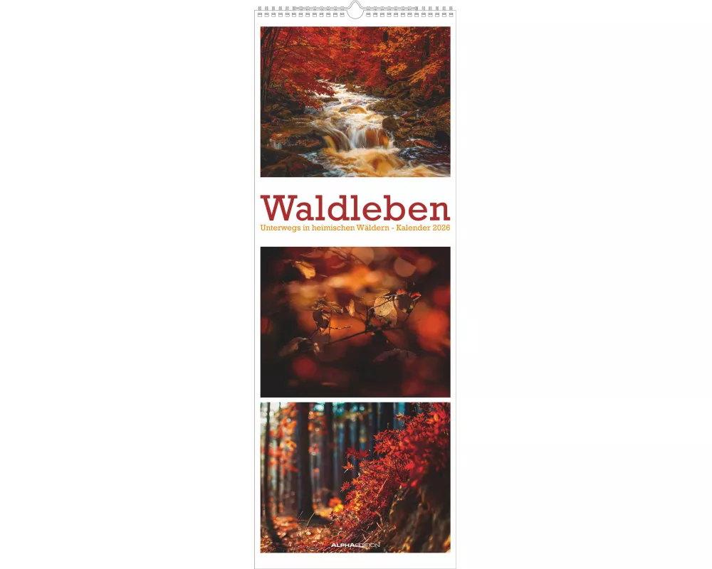 Alpha Edition - Waldleben Triplets 2026 – Streifenkalender XXL 25×69 cm im Hochformat mit 12 Naturmotiven, Bildkalender mit Triplets-Design für Naturl