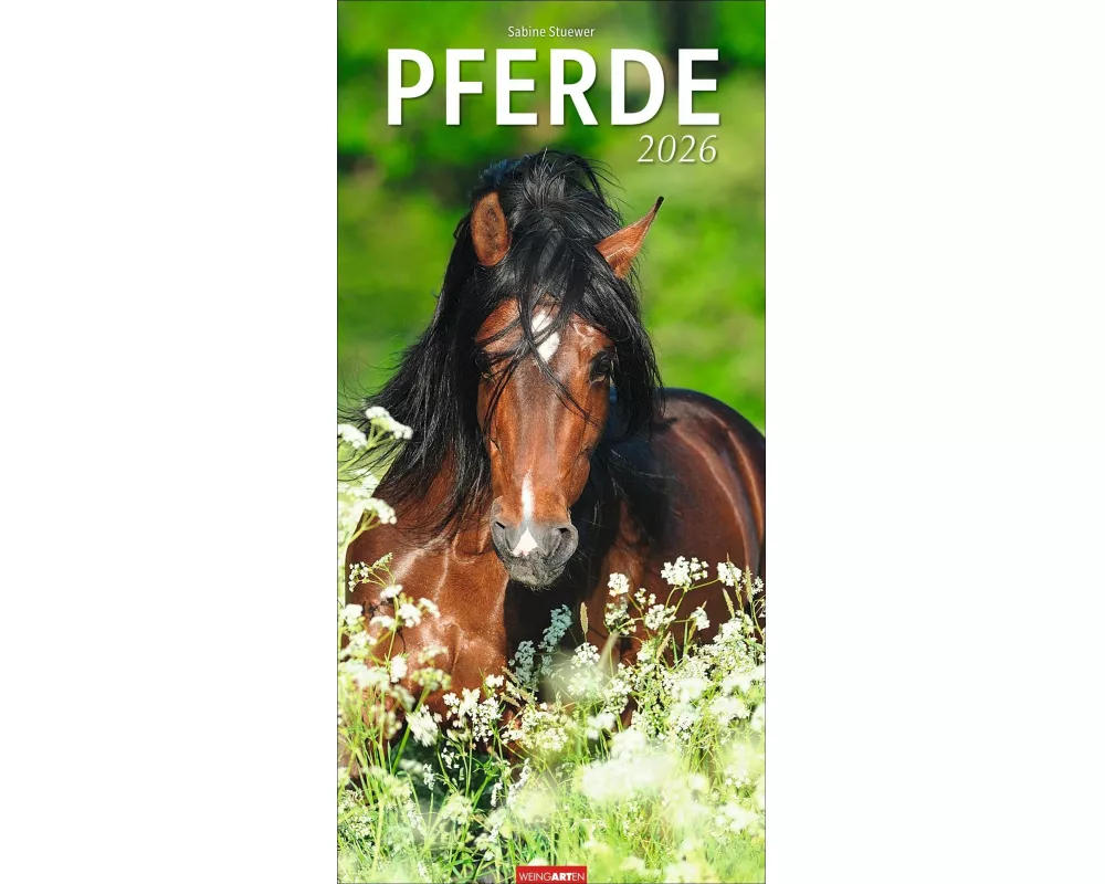 Pferde Kalender 2026
