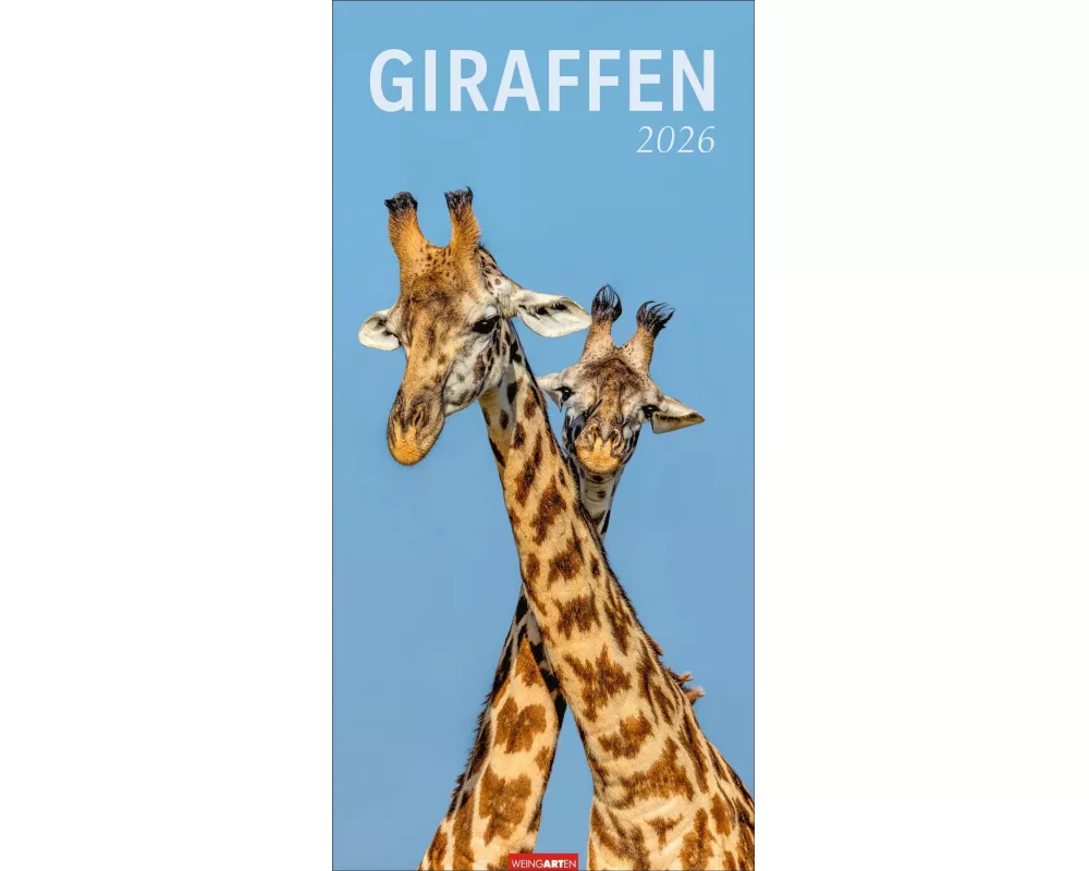 Giraffen Kalender 2026