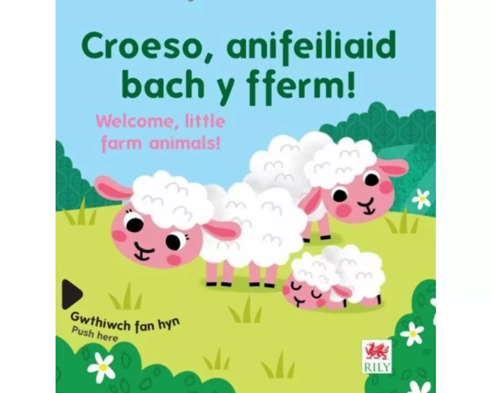 Croeso, anifeiliaid bach y fferm! / Welcome, Little Farm Animals