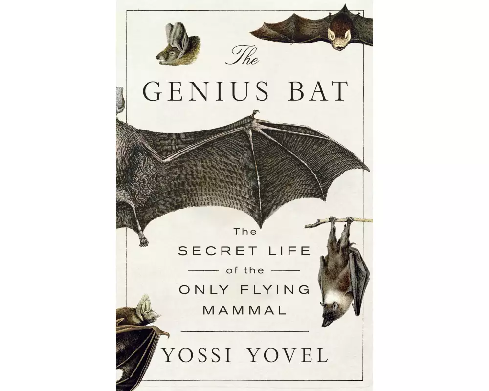 The Genius Bat