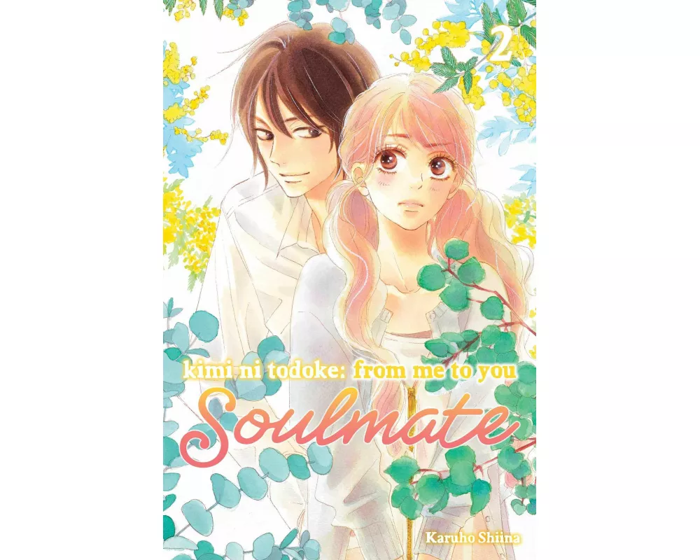 Kimi ni Todoke: From Me to You: Soulmate, Vol. 2