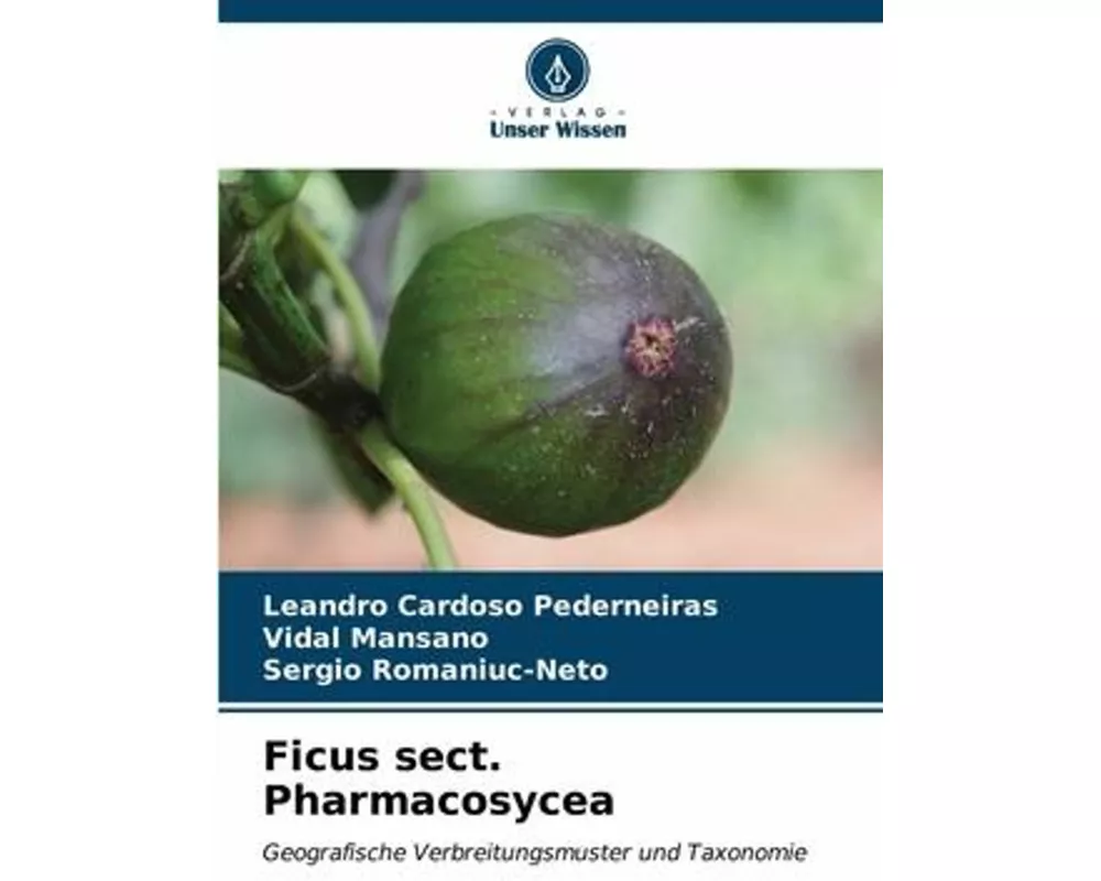Ficus sect. Pharmacosycea