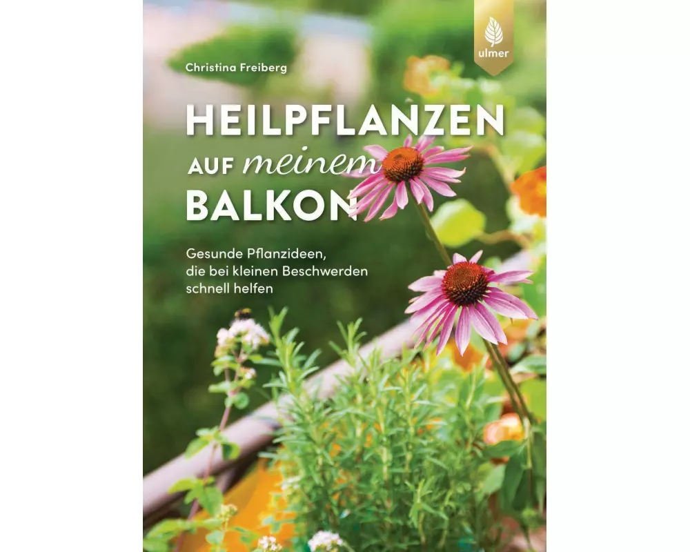 Heilpflanzen auf meinem Balkon