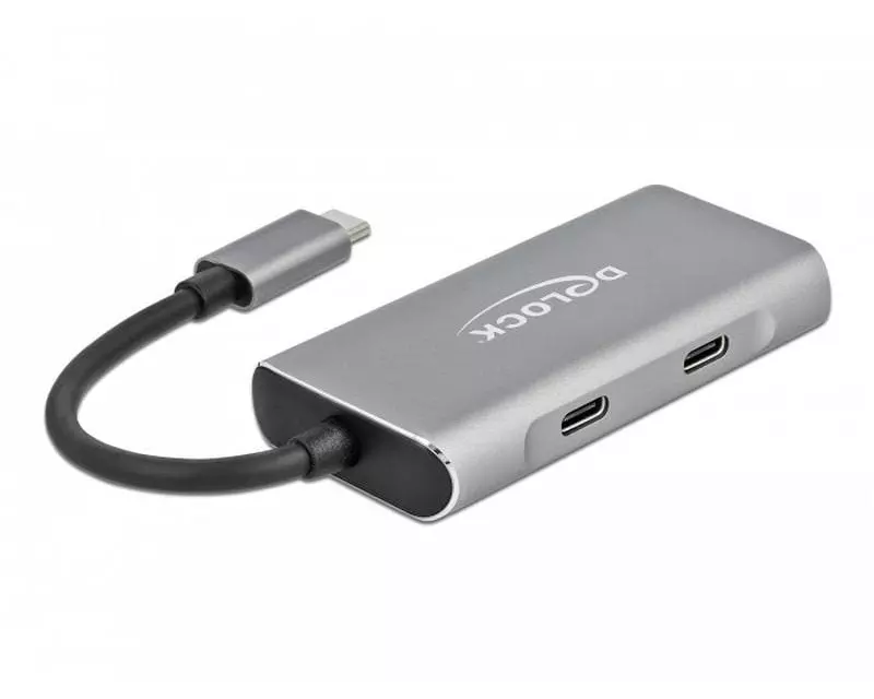 Delock USB 3.1 Hub