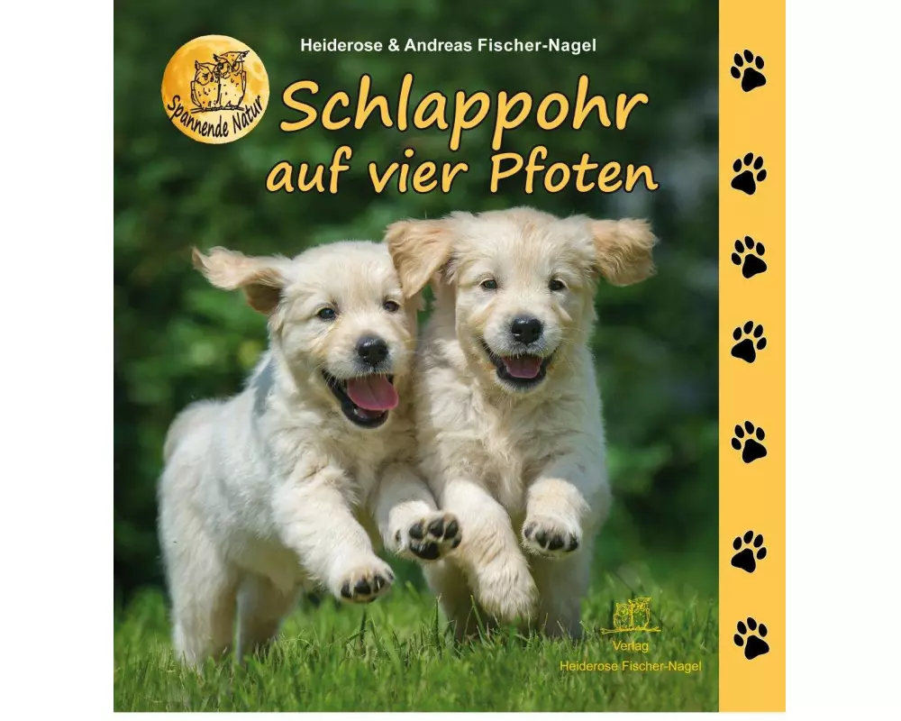 Schlappohr auf vier Pfoten