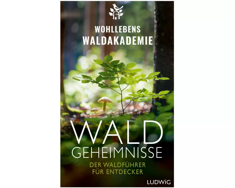 Waldgeheimnisse