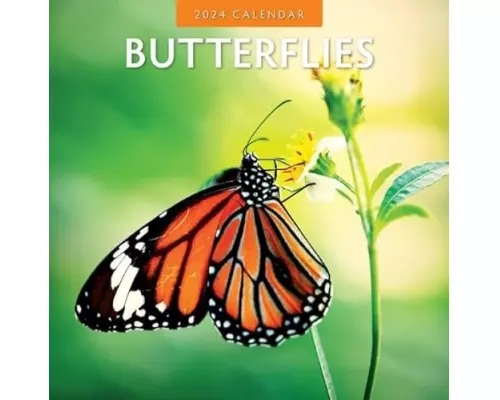 Butterflies 2024 Square Wall Calendar