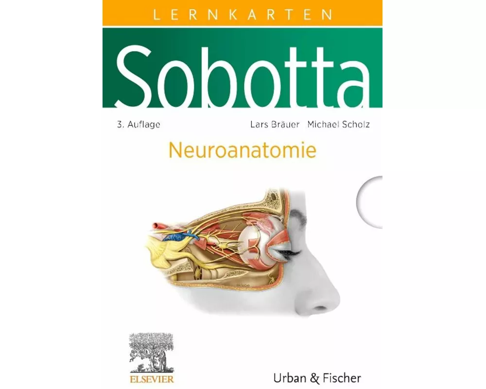 Sobotta Lernkarten Neuroanatomie