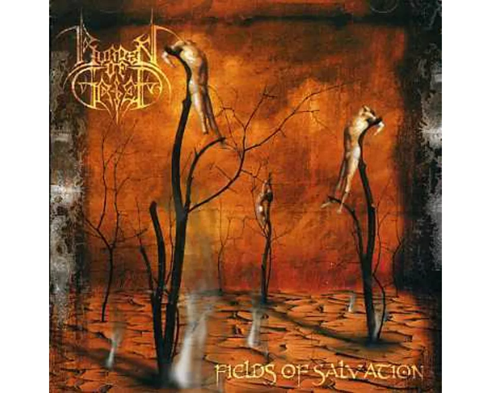 Fields Of Salvation
